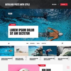 MyThemeShop Risen WordPress Theme